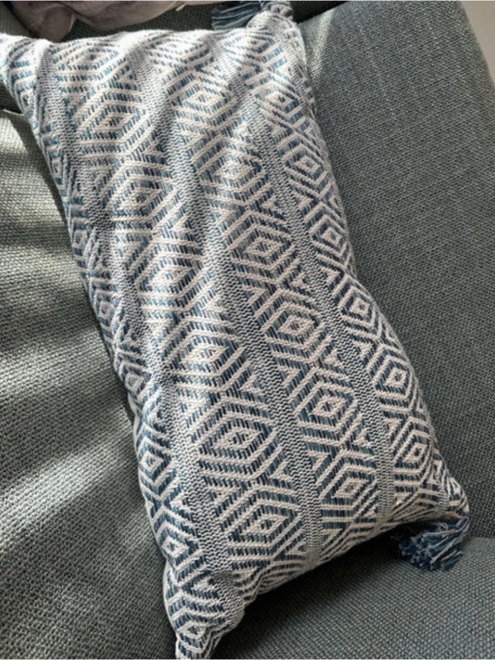 Tasseled throw pillow